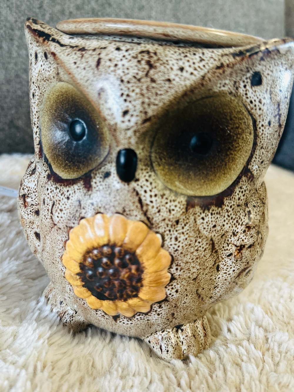 Spotted Owl Scented Wax Warmer